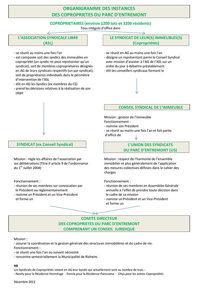 organigramme